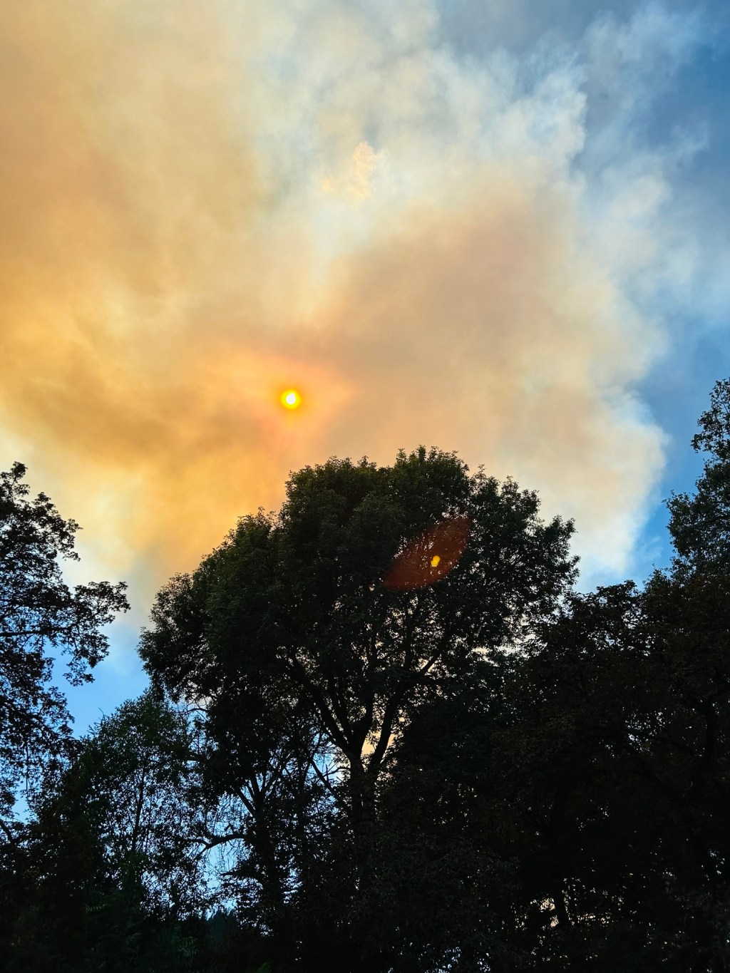 burnin’ down the house (except not really … i hope)